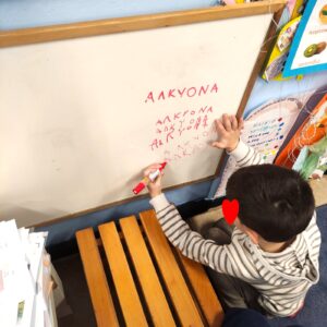 αλκυονα προγραφη