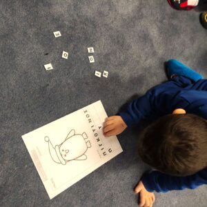 πιγκουινος προγραφη