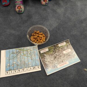 αμυγδαλια γνωριμια