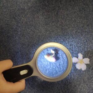 αμυγδαλια φακος3