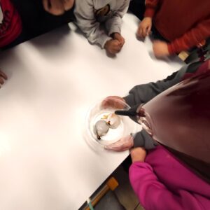 τηξη με πιστοιλακι