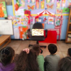 ΒΙΝΤΕΟ ΜΕΛΙΣΣΑ