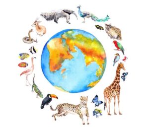 WORLD ANIMAL DAYU
