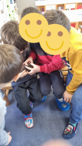 image 2024 11 30T165534.972