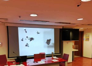 received 538880388928335