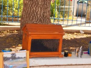 Messenger creation d0a890f1 5c3b 42a2 baf4 3ad8de3d2e74