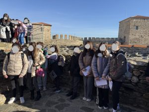 IMG 4036