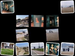 collage 12