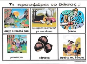PINAKAS ANFORAS 2