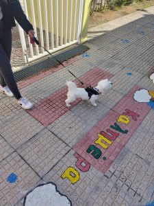 aac35cc0 d4d7 47c4 94ab dea72d4b4791