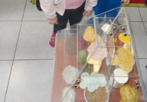 DSCN5747