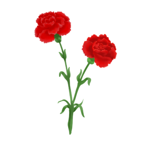 Lovepik com 401720605 red carnation