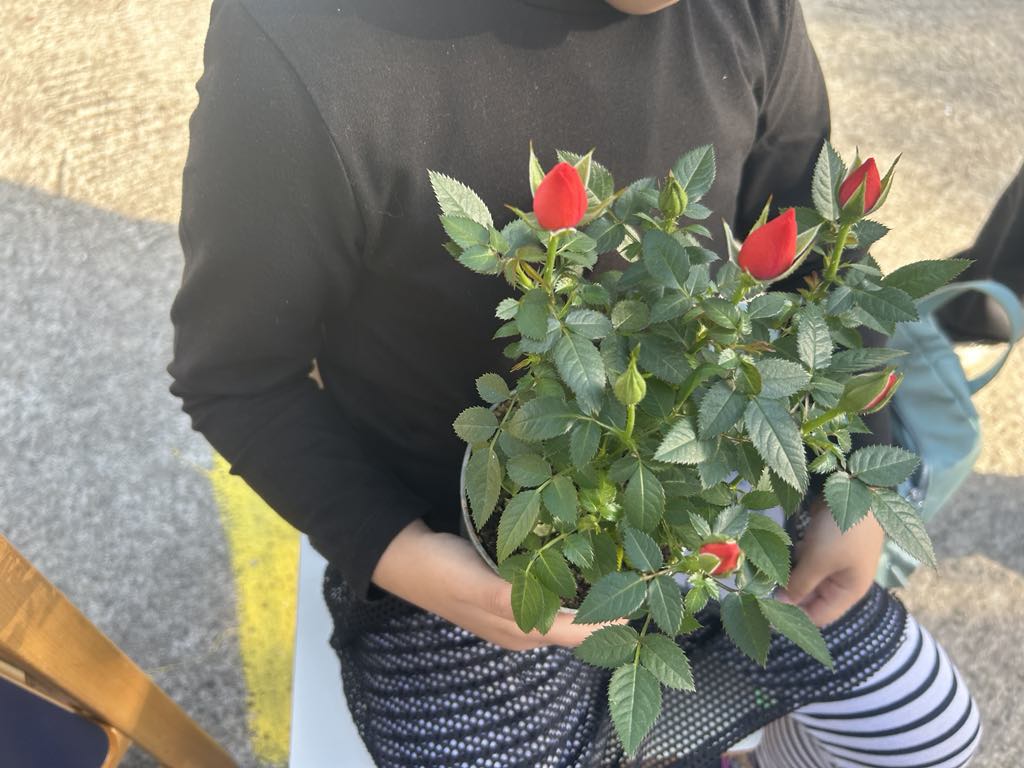 2a65e774 bd5a 43dc 9737 b66574d14564