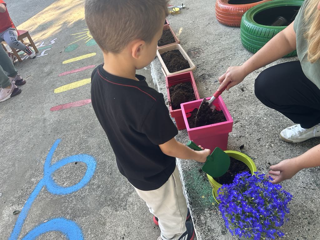 3ad0ddf3 5b7e 4dbf b32a 93e5c5df9d9a