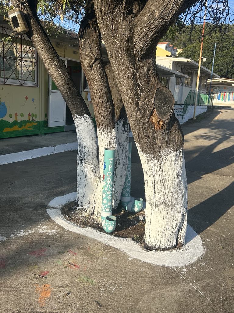 c854b922 1f62 4083 8b92 3237bd428257