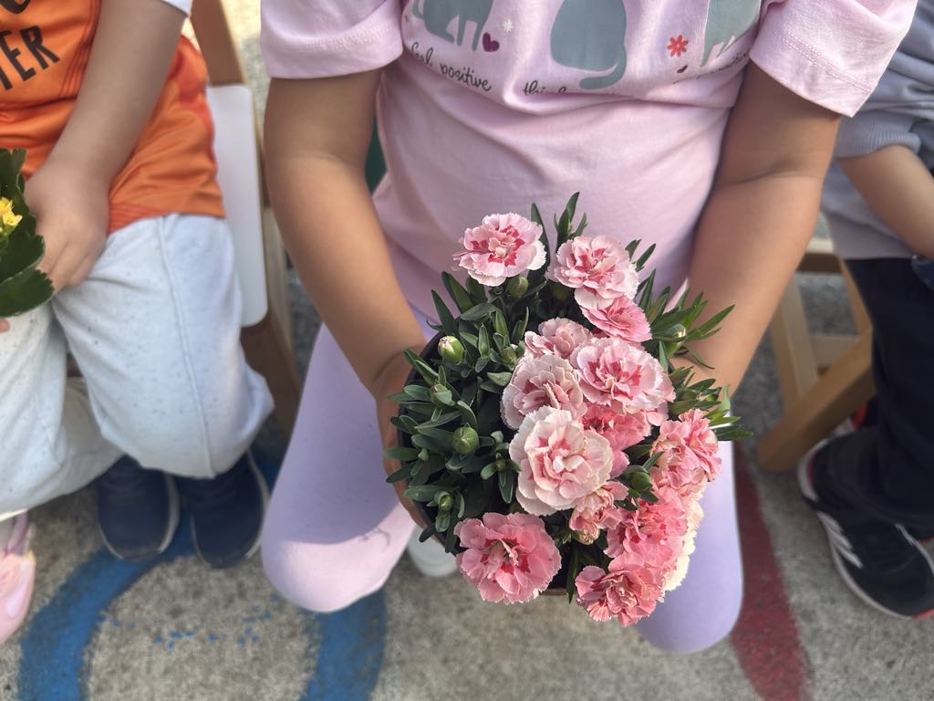 cb71a028 f4cf 445b bc6b ae6d908cc1d9