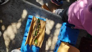 5ffbf4a8 3d1c 424f 9692 7b61bbecc2dd