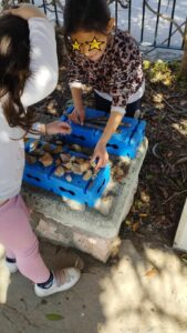 9595a054 05a6 4b3b 8d95 bdded79b7dea