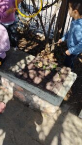 ec3d9dc1 0668 4772 bec3 c5c48efcc0c7