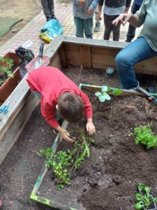 IMG 2a7539cdaf9a8c166cd5bce3929092d1 V