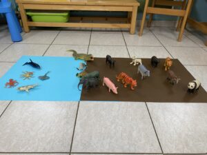 IMG 1624