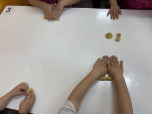 IMG 2485