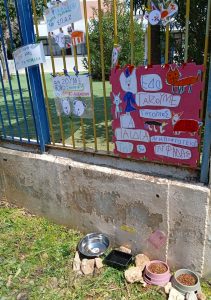IMG 20250404 132227