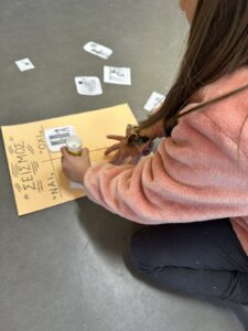 IMG c03e0705db9432bdddc09bcfc8f65cbd V