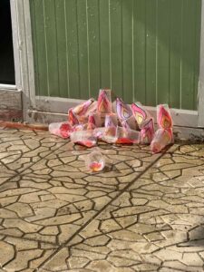 IMG 0f128992912d67c9677a64d7bac9df29 V