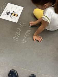 IMG d794eba2c6b832d84eb83e104e846a30 V