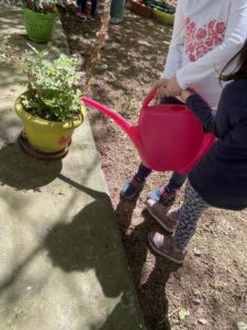 ae74be58 198c 49b4 b67f 2b0846295a9e