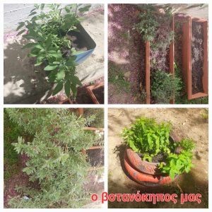 botanokhpos