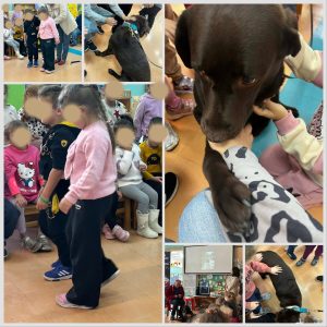 7B3BB744 0CFD 4E7B 9255 98691ACB2331 1