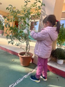 37272f5b a3c3 4f9c 9eaf a8f006c54feb