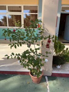 a67b6ac5 b32c 4666 af65 99097e754460