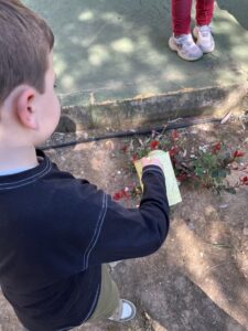 f3d4e3cb 1ed7 4840 a6b1 a872f7b61a01