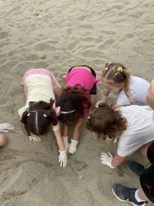 IMG 6860