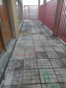IMG20230224085527