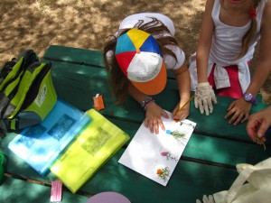 Teams prepare their plant sheets