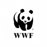 wwf