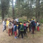 IMG eacd638738787c939d187c5db4de943e V