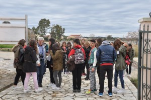 Άφιξη στο ΚΠΕ Λευκίμμης