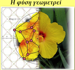 Icon_Programm_Geo