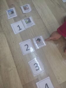 IMG 81eba15bc061947af528602a5ac2de1a V 2