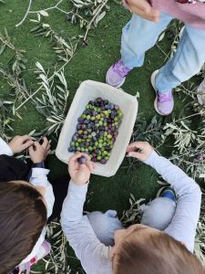 IMG 6dd89d82b0d4fccb23f87b068ef5740b V