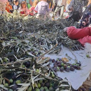 IMG a39961b7dcb80cd0ac26a7f4aa2bc5e4 V