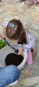 563b8b9a b34e 408c acd4 fdf1fd1d41ce