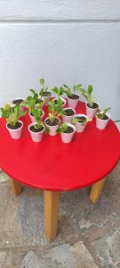 5f139340 2eb4 4fd7 8854 ab7c1322fb41