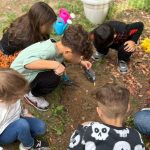 996d795a 7466 47dc b38f 3329a4f5496b