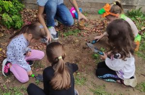 cfcf5e54 91d5 4558 84ee 978eb6e2de51